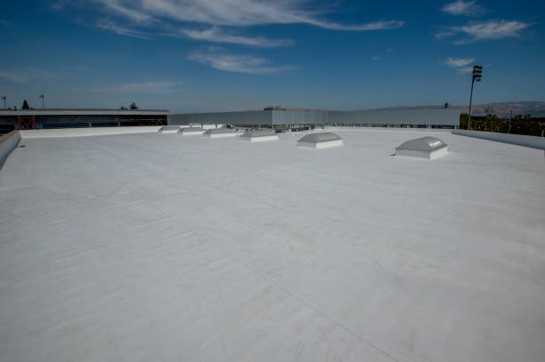 Best Sheet Metal Roofing  in , ID