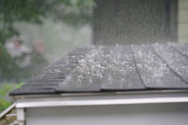Best Emergency Roof Repair Services  in , ID